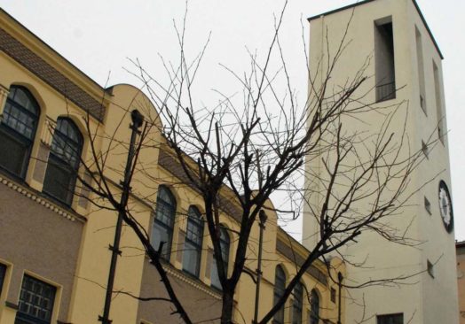 Toivonlinnan musiikkiopiston laulajat